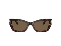 Jimmy Choo Ochelari de Soare JC 5011U 500273