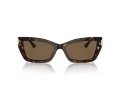 Jimmy Choo Ochelari de Soare JC 5011U 500273