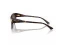 Jimmy Choo Ochelari de Soare JC 5011U 500273
