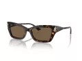 Jimmy Choo Ochelari de Soare JC 5011U 500273