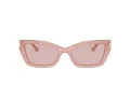Jimmy Choo Ochelari de Soare JC 5011U 5027/5