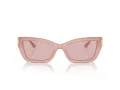 Jimmy Choo Ochelari de Soare JC 5011U 5027/5
