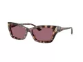 Jimmy Choo Ochelari de Soare JC 5011U 50701A