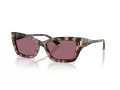 Jimmy Choo Ochelari de Soare JC 5011U 50701A