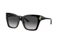 Jimmy Choo Ochelari de Soare JC 5012 50008G 54