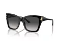 Jimmy Choo Ochelari de Soare JC 5012 50008G 54