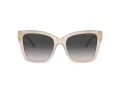 Jimmy Choo Ochelari de Soare JC 5012 50258G