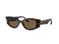 Jimmy Choo Ochelari de Soare JC 5015U 500273
