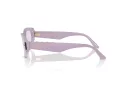 Jimmy Choo Ochelari de Soare JC 5015U 50211A