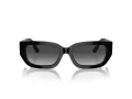 Jimmy Choo Ochelari de Soare JC 5017 50008G