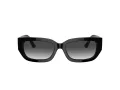 Jimmy Choo Ochelari de Soare JC 5017 50298G