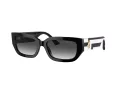 Jimmy Choo Ochelari de Soare JC 5017 50298G