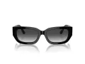 Jimmy Choo Ochelari de Soare JC 5017 50298G