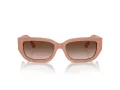 Jimmy Choo Ochelari de Soare JC 5017 503213 55