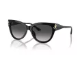 Jimmy Choo Ochelari de Soare JC 5018U 50008G 54
