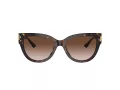 Jimmy Choo Ochelari de Soare JC 5018U 500213