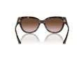 Jimmy Choo Ochelari de Soare JC 5018U 500213