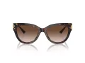 Jimmy Choo Ochelari de Soare JC 5018U 500213