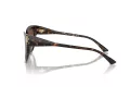 Jimmy Choo Ochelari de Soare JC 5018U 500213