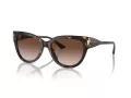Jimmy Choo Ochelari de Soare JC 5018U 500213