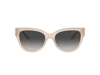 Jimmy Choo Ochelari de Soare JC 5018U 50258G