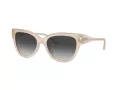 Jimmy Choo Ochelari de Soare JC 5018U 50258G