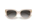 Jimmy Choo Ochelari de Soare JC 5018U 50258G