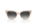 Jimmy Choo Ochelari de Soare JC 5018U 50258G