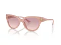 Jimmy Choo Ochelari de Soare JC 5018U 502768