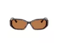 Jimmy Choo Ochelari de Soare JC 5021BU 500273