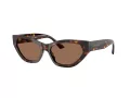 Jimmy Choo Ochelari de Soare JC 5022B 500273