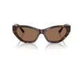 Jimmy Choo Ochelari de Soare JC 5022B 500273