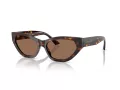 Jimmy Choo Ochelari de Soare JC 5022B 500273