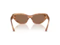Jimmy Choo Ochelari de Soare JC 5022B 505573