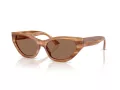 Jimmy Choo Ochelari de Soare JC 5022B 505573