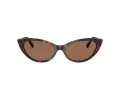 Jimmy Choo Ochelari de Soare JC 5023H 500273