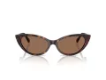 Jimmy Choo Ochelari de Soare JC 5023H 500273
