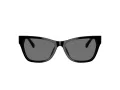 Jimmy Choo Ochelari de Soare JC 5024HU 500081