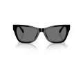 Jimmy Choo Ochelari de Soare JC 5024HU 500081