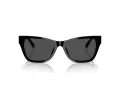 Jimmy Choo Ochelari de Soare JC 5024HU 500087
