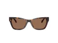 Jimmy Choo Ochelari de Soare JC 5024HU 500273