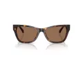 Jimmy Choo Ochelari de Soare JC 5024HU 500273