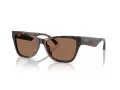 Jimmy Choo Ochelari de Soare JC 5024HU 500273