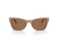 Jimmy Choo Ochelari de Soare JC 5024HU 505873