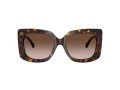 Jimmy Choo Ochelari de Soare JC 5025H 500213