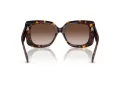Jimmy Choo Ochelari de Soare JC 5025H 500213