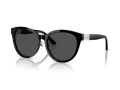 Jimmy Choo Ochelari de Soare JC 5032D 500087
