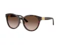 Jimmy Choo Ochelari de Soare JC 5032D 50028G