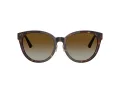 Jimmy Choo Ochelari de Soare JC 5032D 5002T5