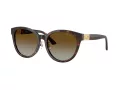 Jimmy Choo Ochelari de Soare JC 5032D 5002T5